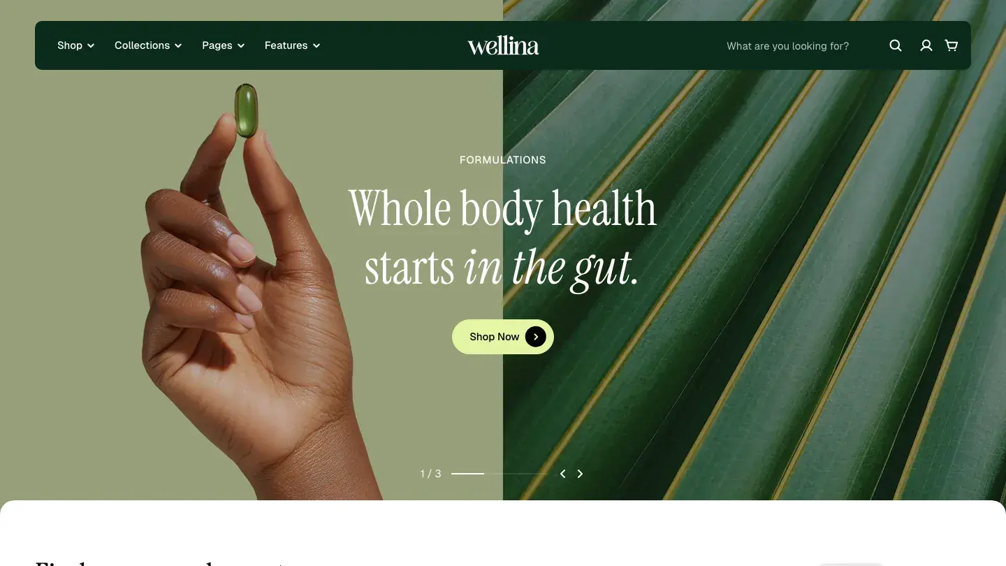 Wellina - Shopify Retail & E-commerce Website Theme